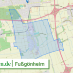 073385004008 Fussgoenheim
