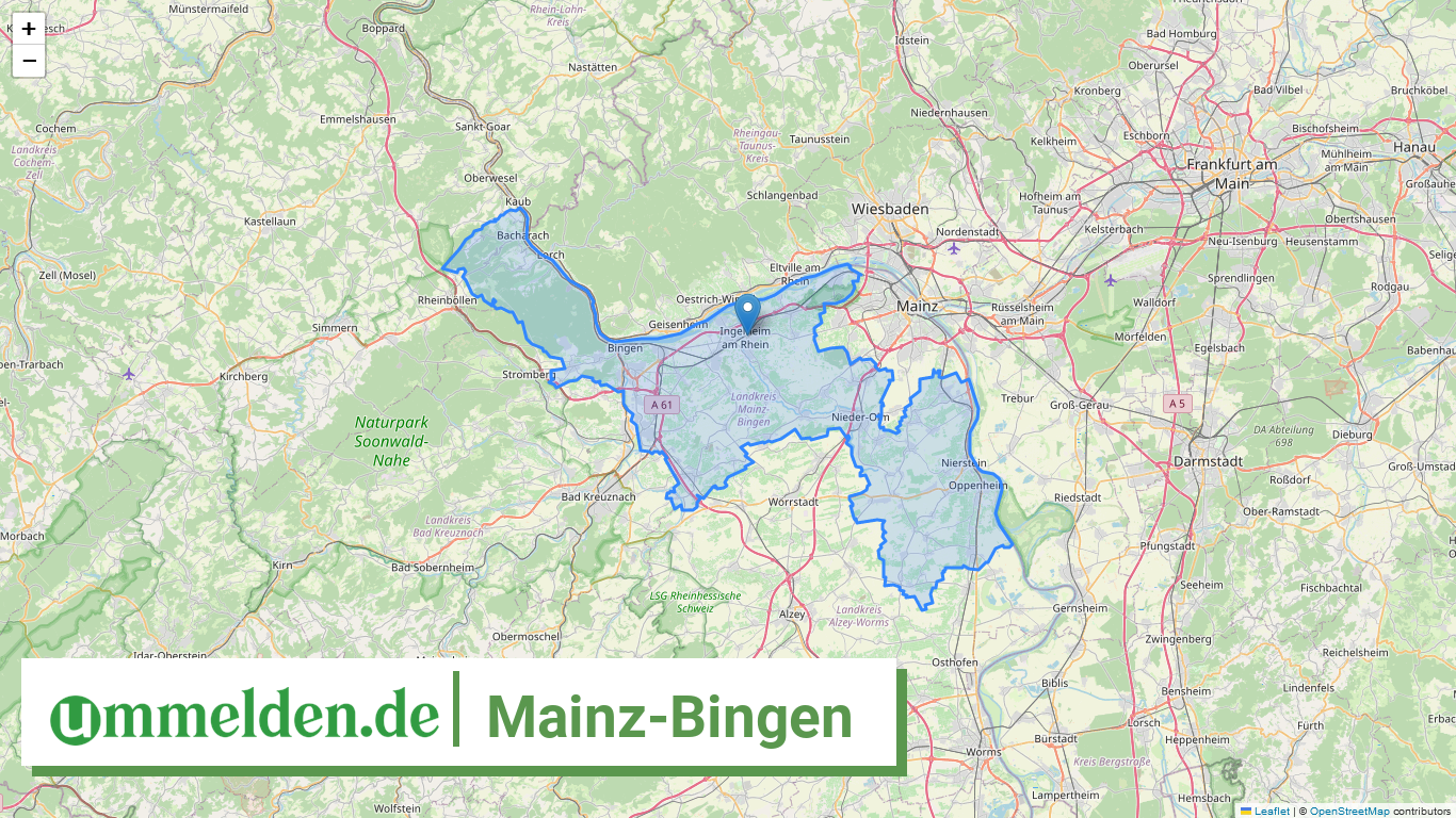 07339 Mainz Bingen