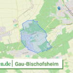 073395002020 Gau Bischofsheim