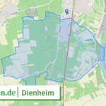 073395007012 Dienheim