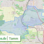 081185002071 Tamm