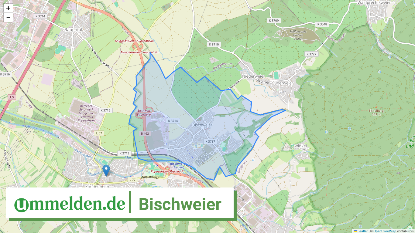 082165001006 Bischweier