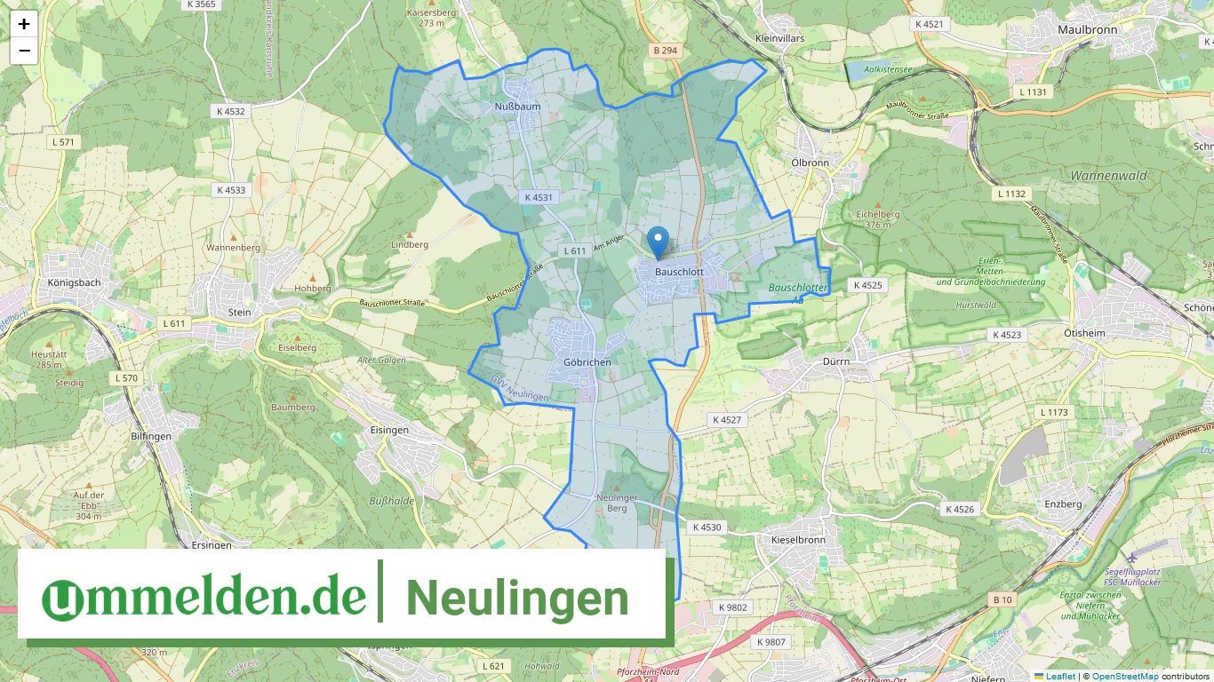 082365006073 Neulingen