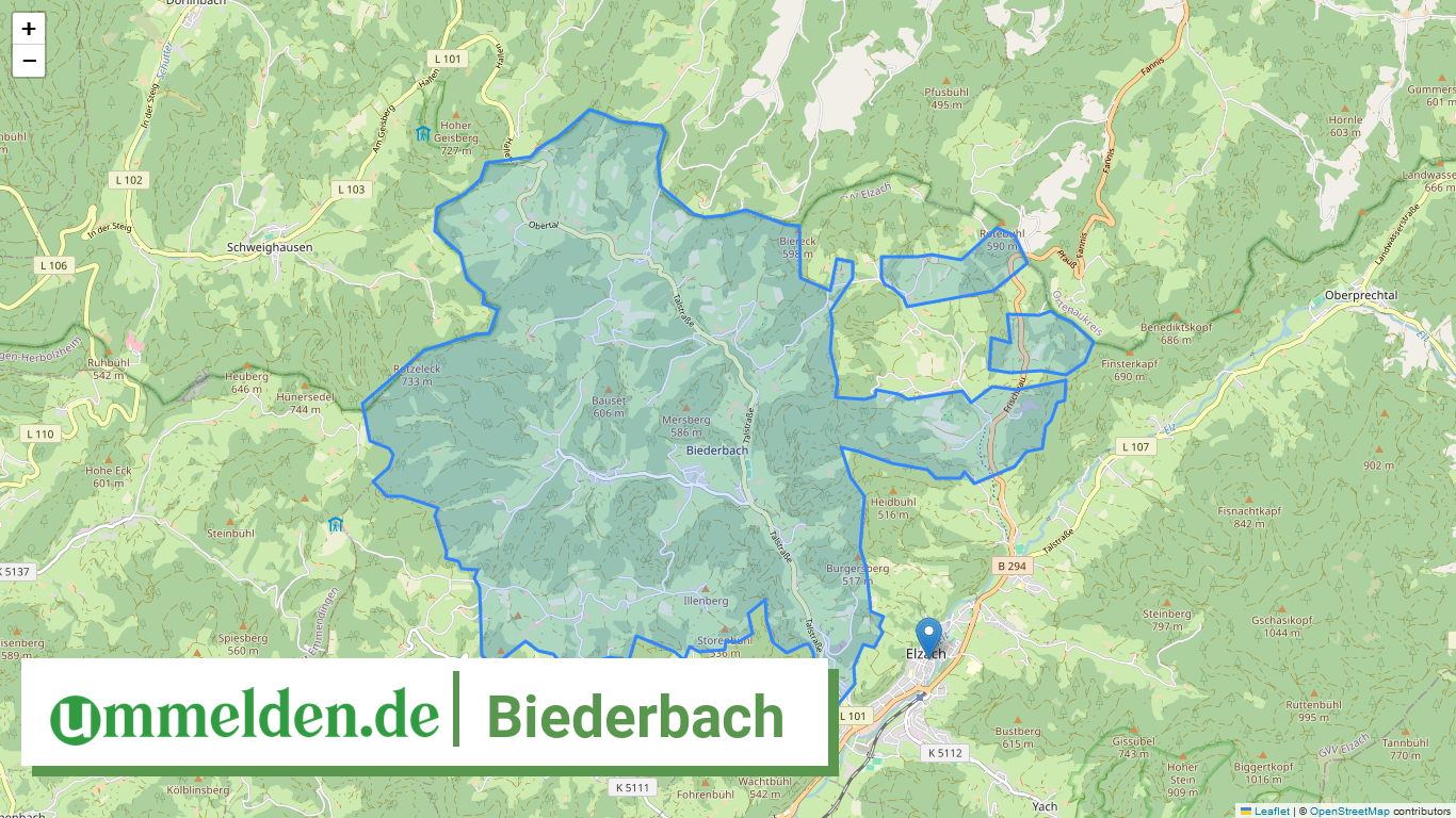 083165002003 Biederbach