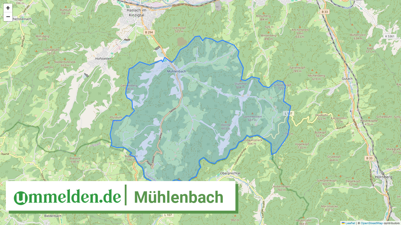 083175004078 Muehlenbach