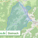 083175004129 Steinach