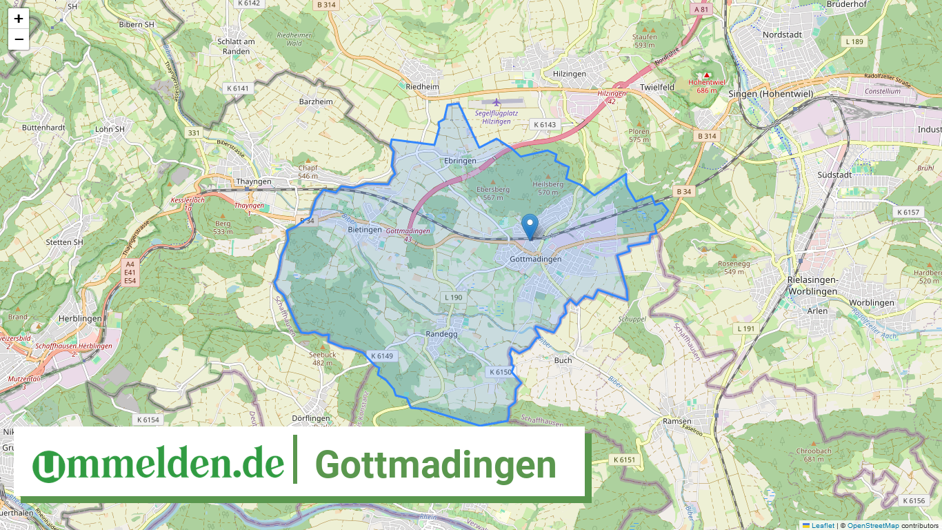 083355002028 Gottmadingen