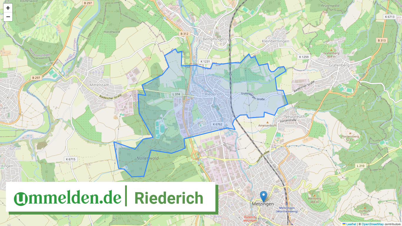 084155002062 Riederich