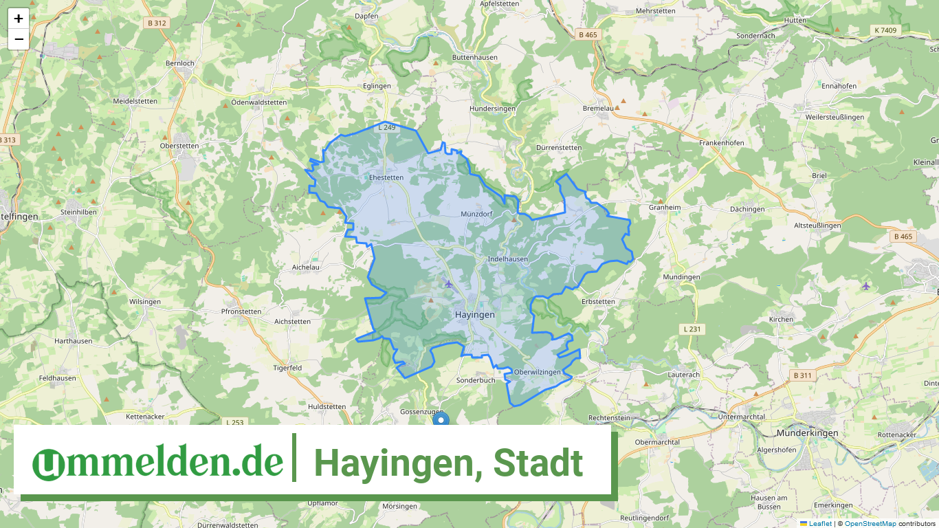 084155006034 Hayingen Stadt