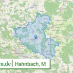 093715301126 Hahnbach M
