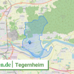 093750204204 Tegernheim
