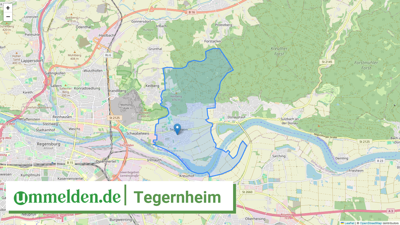 093750204204 Tegernheim