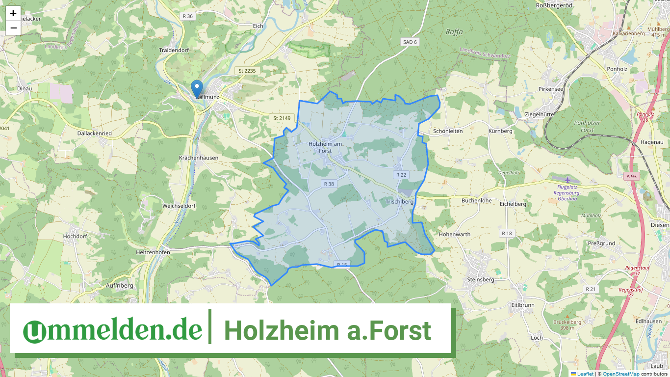 093755332153 Holzheim a.Forst