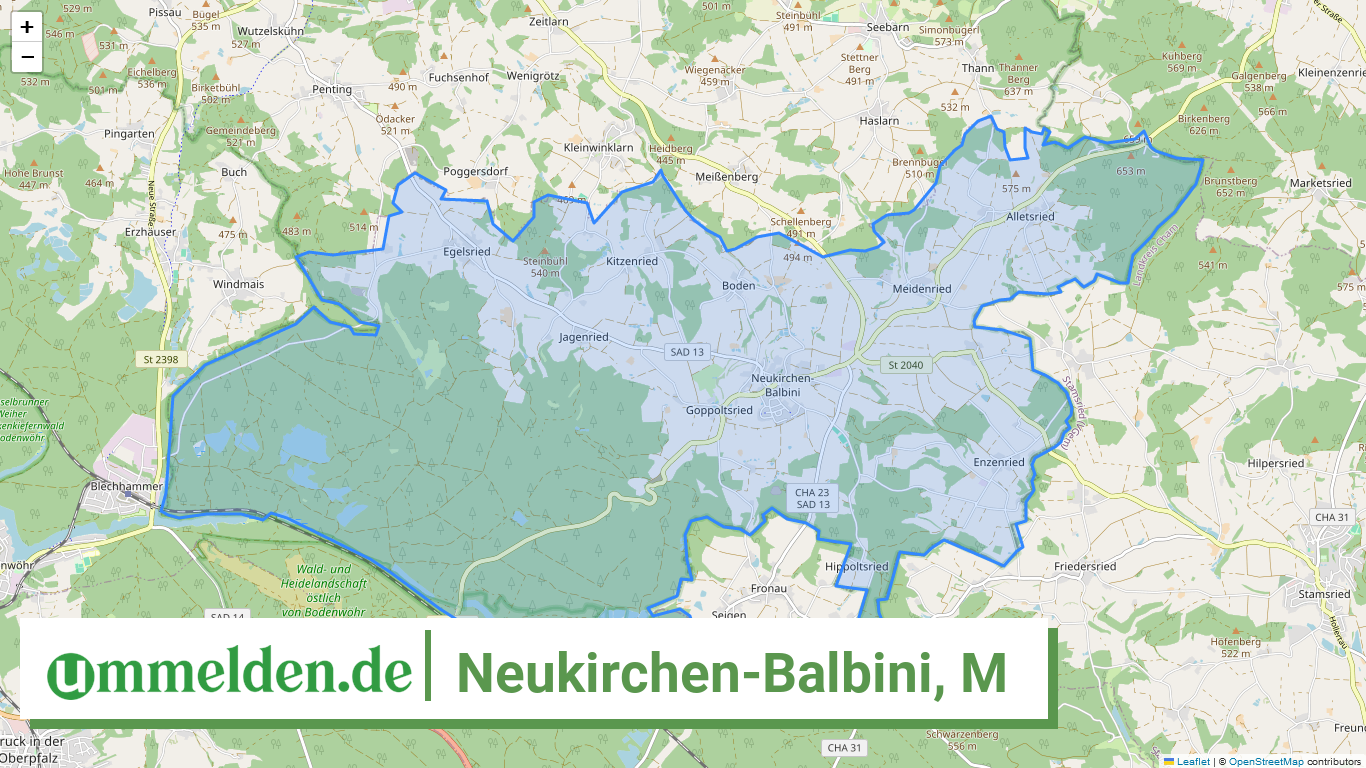 093765345146 Neukirchen Balbini M