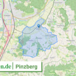 094745422158 Pinzberg