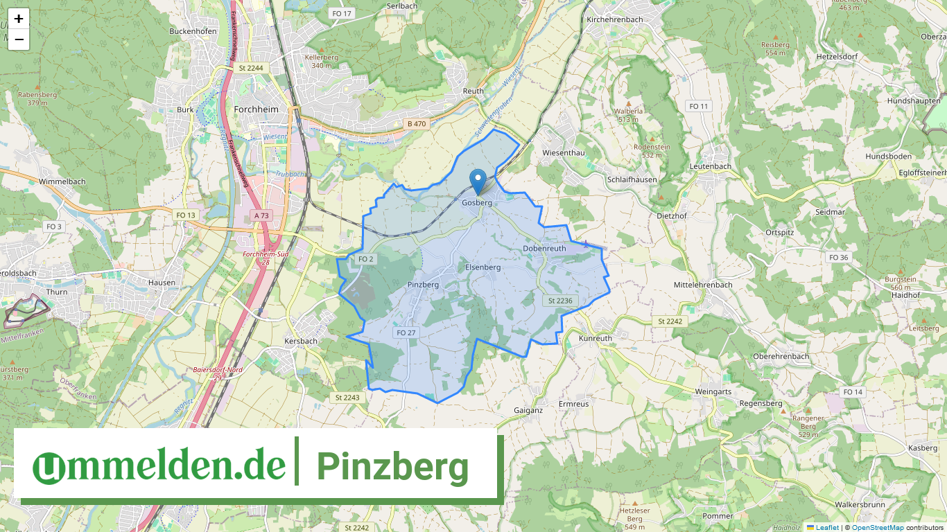 094745422158 Pinzberg