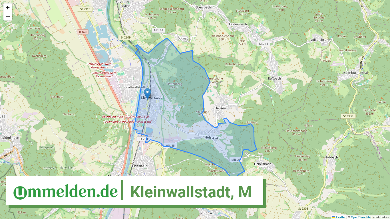 096765630133 Kleinwallstadt M