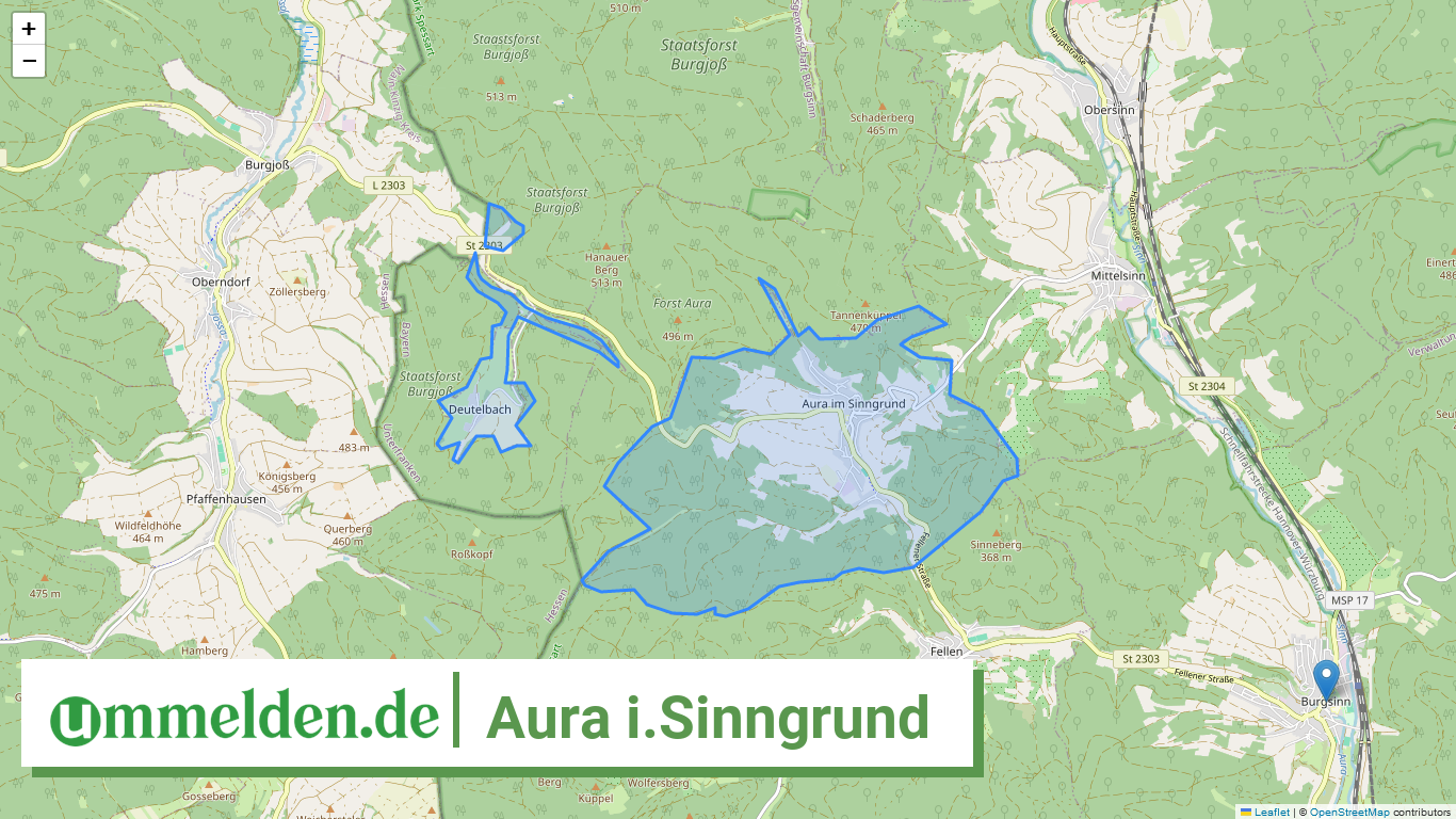 096775622116 Aura i.Sinngrund