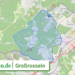 100410512512 Grossrosseln