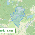 120605011128 Liepe
