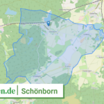 120625202453 Schoenborn