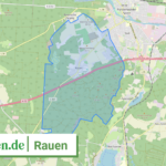 120675709408 Rauen