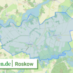 120695902541 Roskow