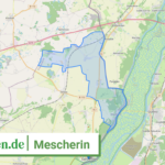 120735304393 Mescherin