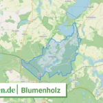 130715156012 Blumenholz