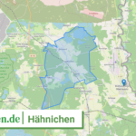 146265235160 Haehnichen