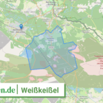 146265242590 Weisskeissel