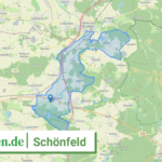 146275238250 Schoenfeld