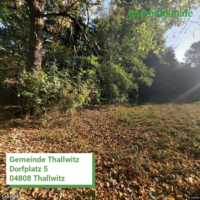 147290380380 streetview amt Thallwitz