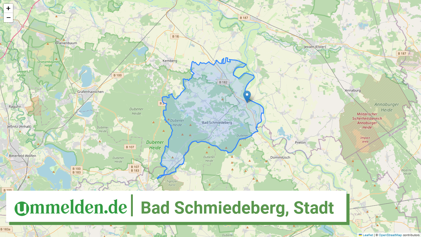 150910020020 Bad Schmiedeberg Stadt
