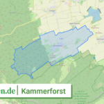 160645053032 Kammerforst