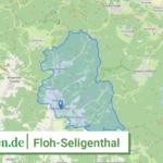 160660023023 Floh Seligenthal