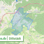 160665014016 Dillstaedt