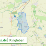 160685002045 Ringleben