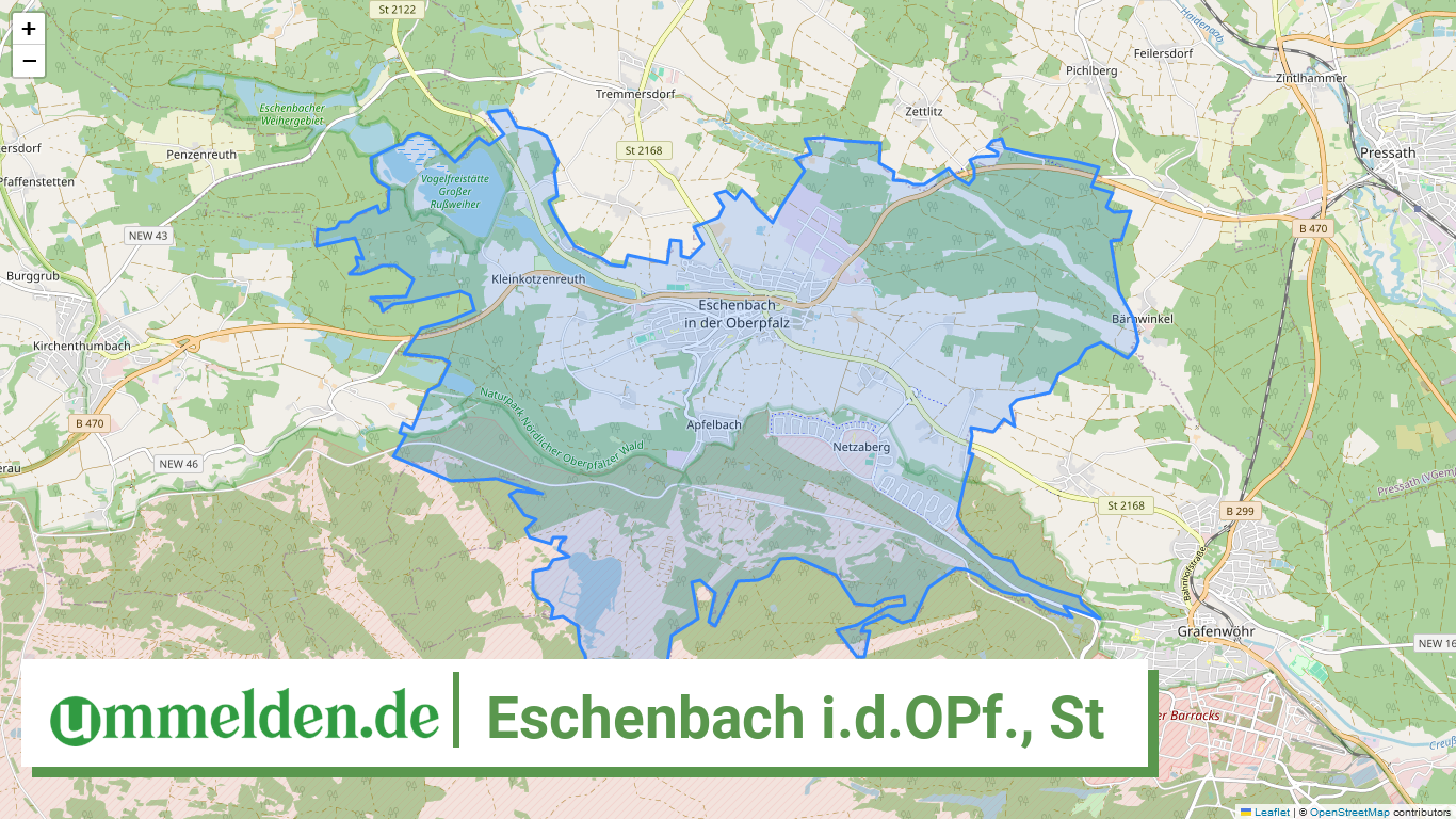 093745327117 Eschenbach i.d.OPf . St