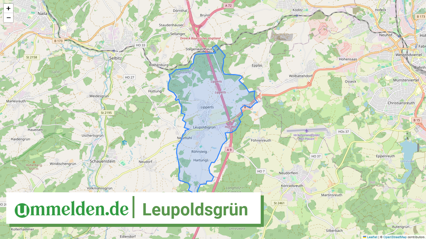 094755431145 Leupoldsgruen