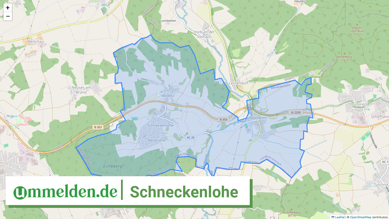 094765434171 Schneckenlohe