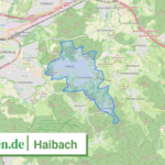 096710124124 Haibach