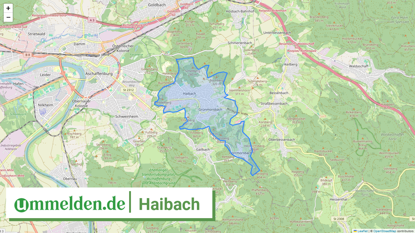 096710124124 Haibach